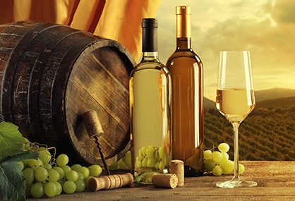Vinarstvo i vinogradarstvo