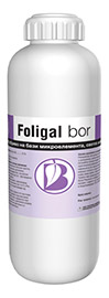 Foligal bor 1/1