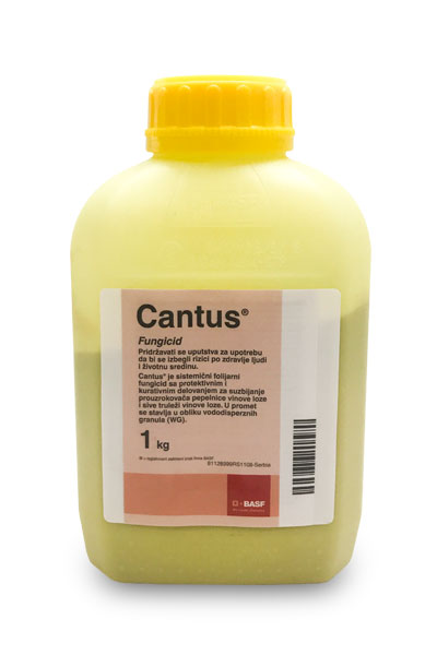 Cantus 1/1